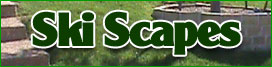 ski scapes landscaping in plano